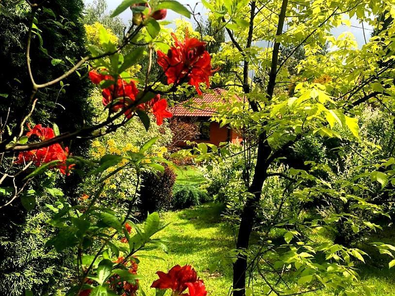 Secret Garden Residence Paszkowka Bagian luar foto